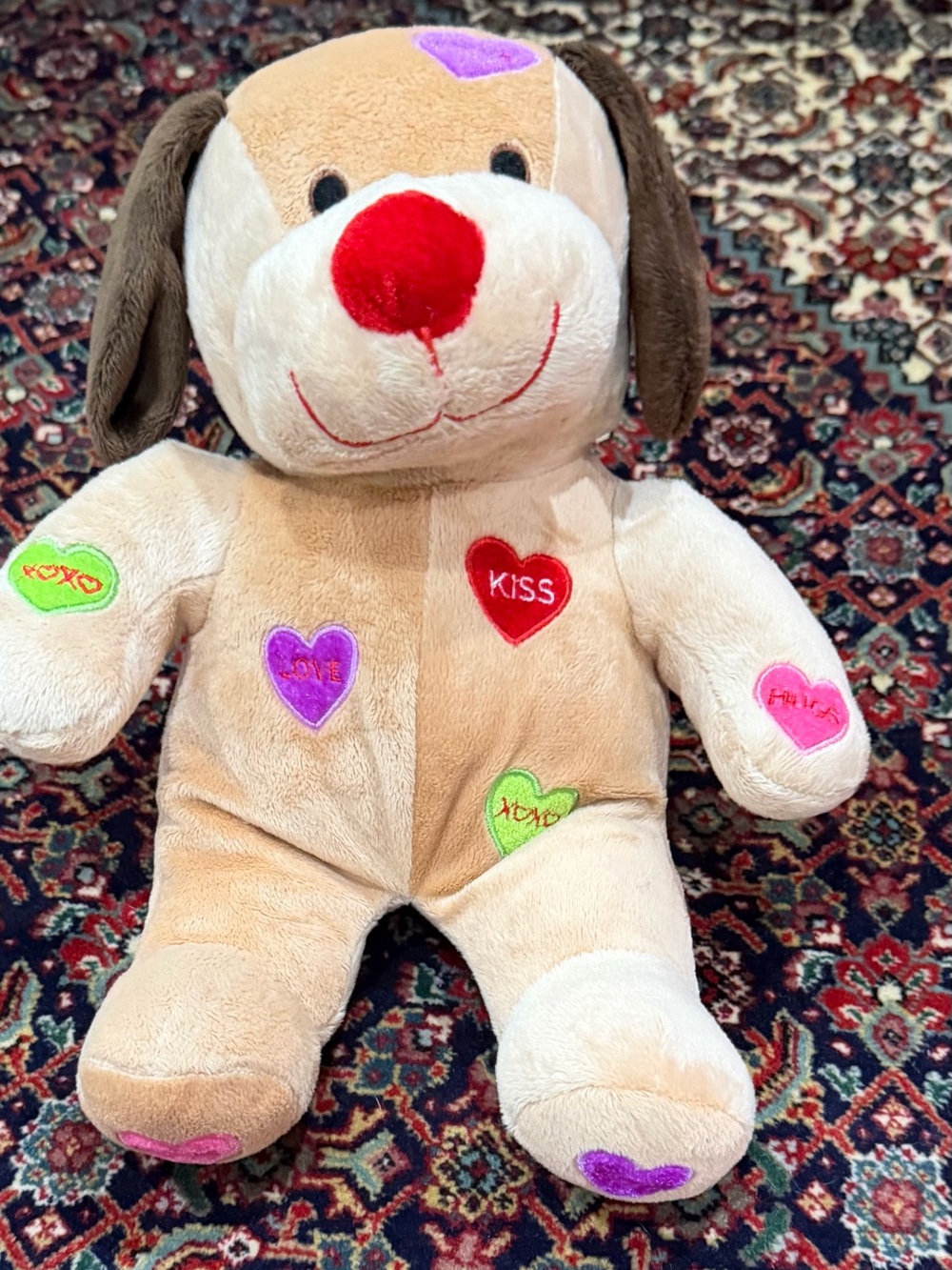 DANDEE COLLECTORS CHOISE VALENTINES DOG PUPPY PLUSH HEARTS SOFT STUFFED TOY 12”